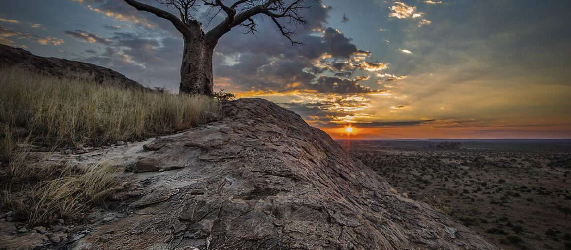 Luminar Interview with Kevin Dooley