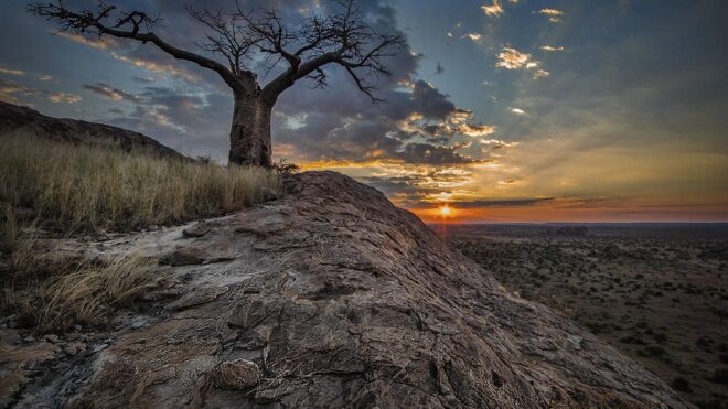 Luminar Interview with Kevin Dooley