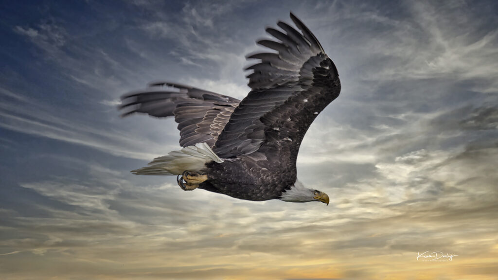 Flying Eagle Alaska