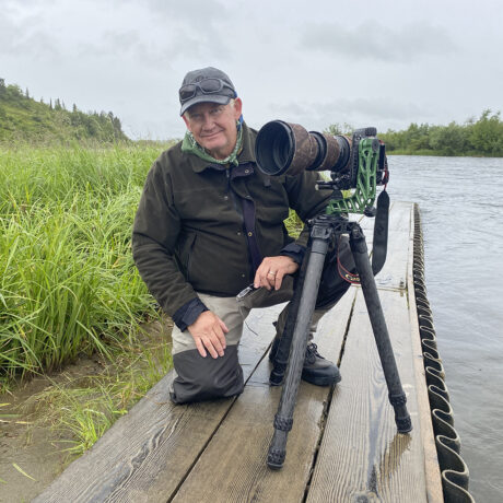 Sigma 60-600