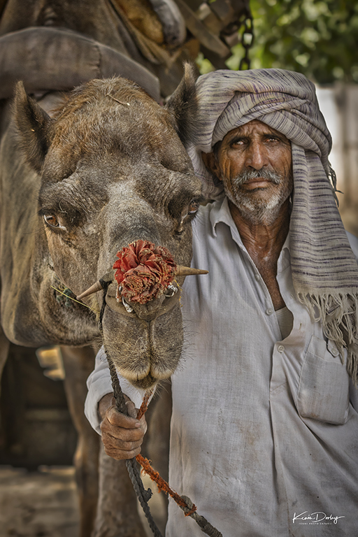 India Safari