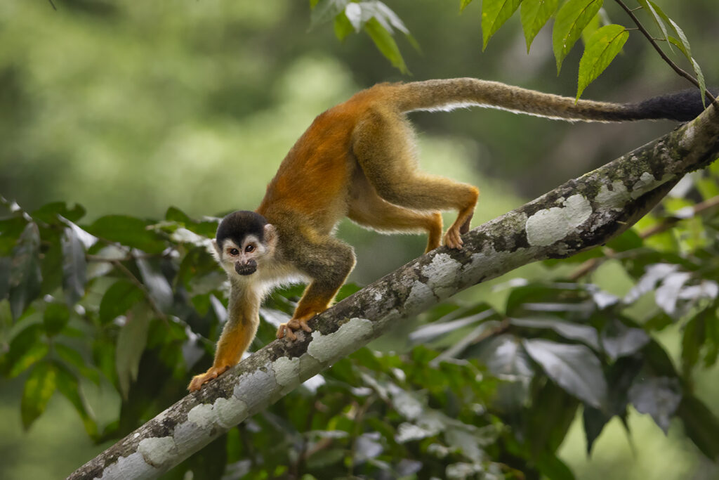 Costa Rica photo Tips