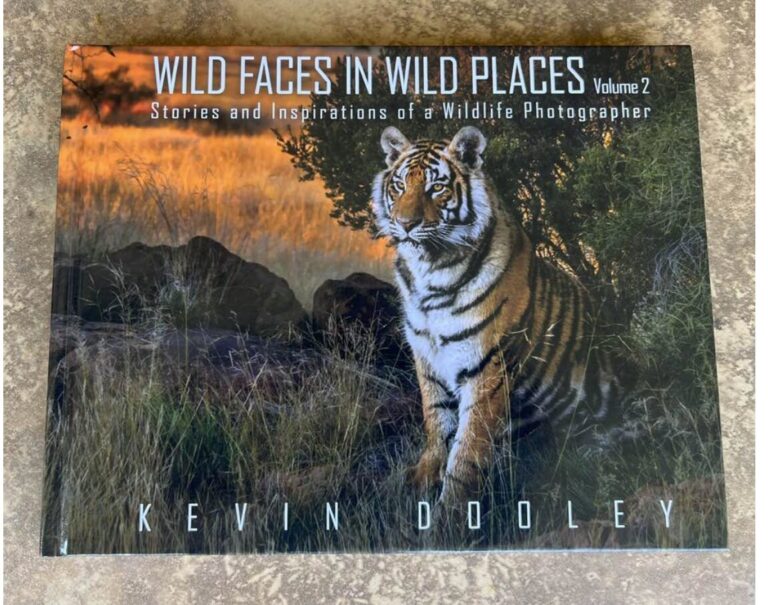 Wild faces in wild places vol 2